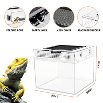 Reptile Growth Mini Terrarium - Perfect Enclosure for Various Pets
