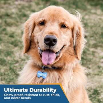 Personalized GoTags Dog and Cat ID Tags - Custom Shapes and Sizes