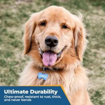 Personalized GoTags Dog and Cat ID Tags - Custom Shapes and Sizes