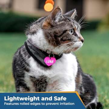 Personalized GoTags Dog and Cat ID Tags - Custom Shapes and Sizes