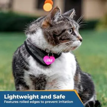 Personalized GoTags Dog and Cat ID Tags - Custom Shapes and Sizes