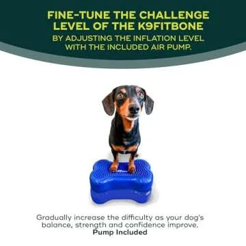 FitPAWS K9FITbone Mini Set of 2 for Dog Training