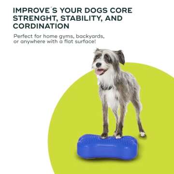 FitPAWS K9FITbone Mini Set of 2 for Dog Training