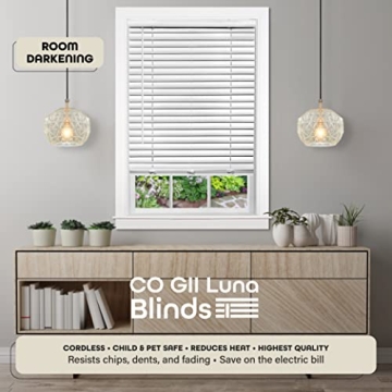 Achim Cordless Room Darkening Blinds - 35x64 White