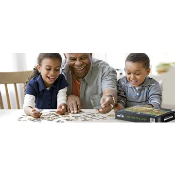 NFL Joe Journeyman 500-Piece Team Puzzle for Football Fans