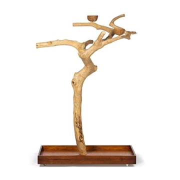 Coffeawood Tree Playstand for Birds - Large Size