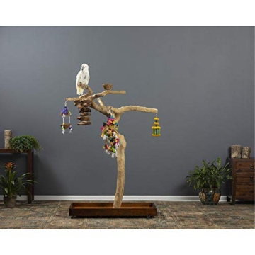 Coffeawood Tree Playstand for Birds - Large Size