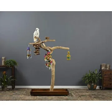 Coffeawood Tree Playstand for Birds - Large Size