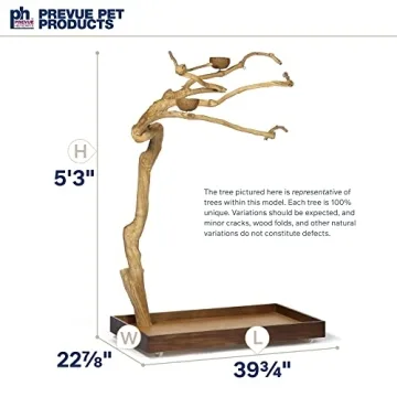 Coffeawood Tree Playstand for Birds - Large Size