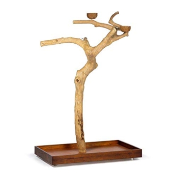 Coffeawood Tree Playstand for Birds - Large Size