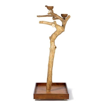 Coffeawood Tree Playstand for Birds - Large Size