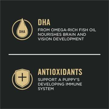 Purina Pro Plan High Protein Chicken Puppy Food 5 lb