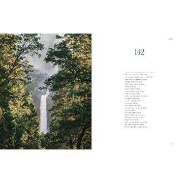 Artistic Book of Psalms - Alabaster Bible (NLT) Gift