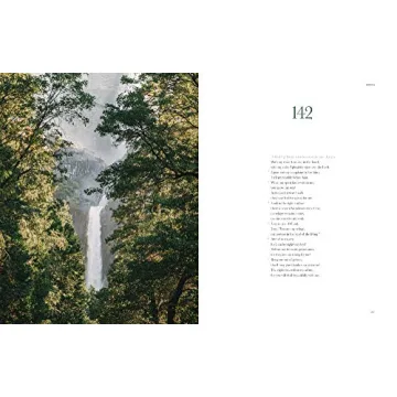 Artistic Book of Psalms - Alabaster Bible (NLT) Gift