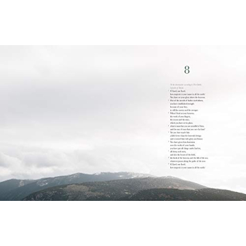 Artistic Book of Psalms - Alabaster Bible (NLT) Gift