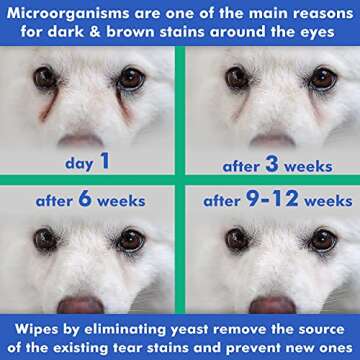 Arava Pet Eye Wipes - for Dogs Cats Puppies & Kittens - 100 Count - Natural and Aromatherapy Medicated - Removes Dirt Crust and Discharge - Prevents Tear Stains