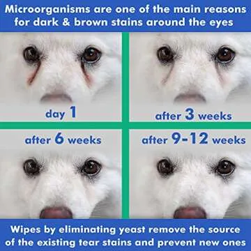 Arava Pet Eye Wipes - for Dogs Cats Puppies & Kittens - 100 Count - Natural and Aromatherapy Medicated - Removes Dirt Crust and Discharge - Prevents Tear Stains