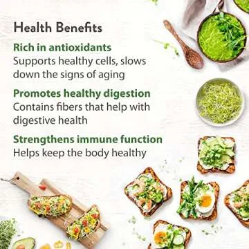 Buy HOME GROWN Broccoli Seeds for Easy Microgreens Growth