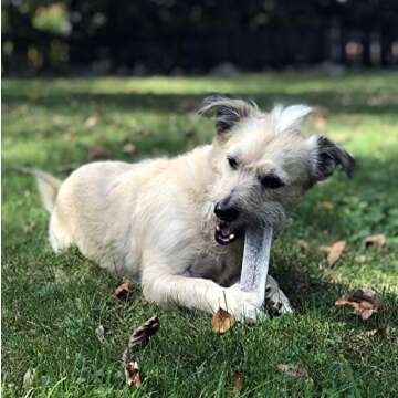 Perfect Pet Chews Split Elk Economy Antler Chew 3-Count