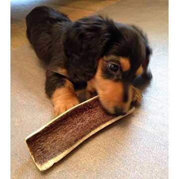 Perfect Pet Chews Split Elk Economy Antler Chew 3-Count