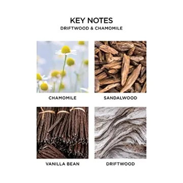 NEST Driftwood & Chamomile Reed Diffuser, 5.9 Fl Oz