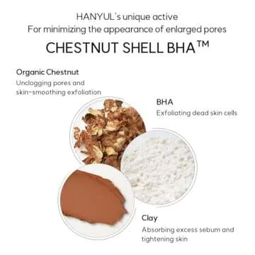 Hanyul Chestnut Shell Pore Clearing Clay Mask | Wash Off type, Deep Cleansing for Oily Skin with Mud & BHA, Refining and Smoothing, Korean Skincare, 3.39 fl.oz.