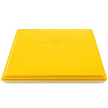 Masterson Sta-Wet Painter's Pal Palette Keeps Paint Fresh for Days 9X12 inches, Made in USA