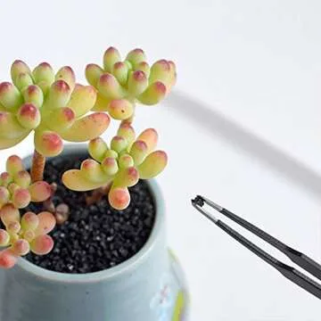 BlueMake Succulent Plants Tools,Mini Garden Hand Transplanting Succulent Tools Miniature Planting,Set for Indoor Miniature Fairy Garden Plant Care (12pcs Tools Set)