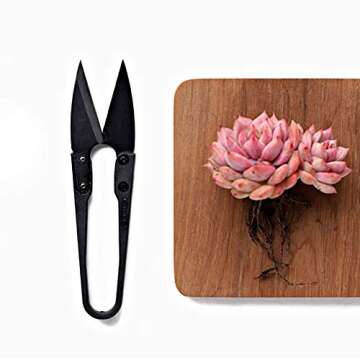 BlueMake Succulent Plants Tools,Mini Garden Hand Transplanting Succulent Tools Miniature Planting,Set for Indoor Miniature Fairy Garden Plant Care (12pcs Tools Set)