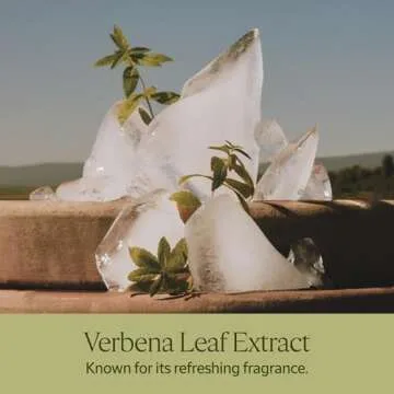 L'Occitane Verbena Eau de Toilette - Refreshing Citrus Scent