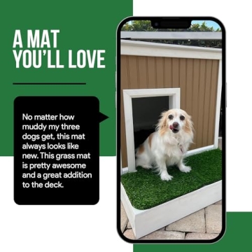 MAYSHINE Artificial Grass Door Mat Indoor/Outdoor Rug