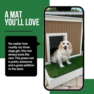 MAYSHINE Artificial Grass Door Mat Indoor/Outdoor Rug