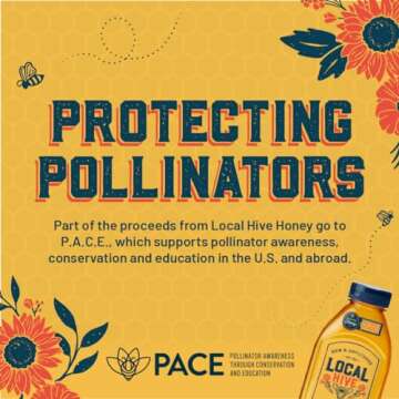 Local Hive Wildflower Raw Unfiltered Honey – 16oz, 100% Pure US Honey, Sourced from American Bees and Beekeepers - Natural Sweetener, Ideal for Tea, Baking, and Cooking