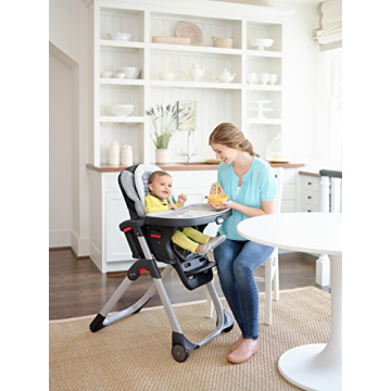 Graco DuoDiner Convertible High Chair for Infants to Toddlers