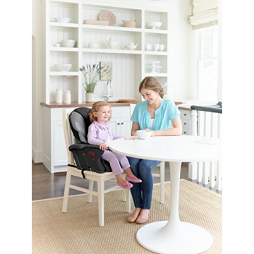 Graco DuoDiner Convertible High Chair for Infants to Toddlers