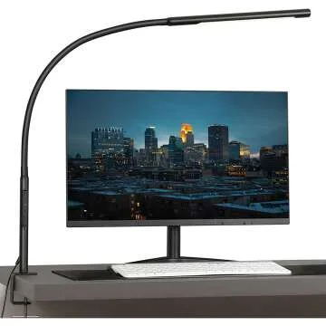 Gooseneck Desk Lamp with Adjustable Color Temperature