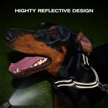 Joytale Martingale Collar for Dogs, Reflective Heavy Duty for Safety, Quick Release Buckle, Adjustable Nylon Collars for Large Dogs Walking Training, Black,L