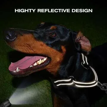 Joytale Martingale Collar for Dogs, Reflective Heavy Duty for Safety, Quick Release Buckle, Adjustable Nylon Collars for Large Dogs Walking Training, Black,L