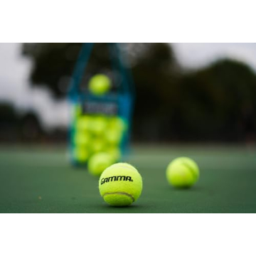 GAMMA Sports Pressureless Tennis Balls Box Offers Durability and Fun