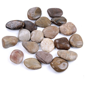 20 Polished Natural Rocks for Creative Painting Projects