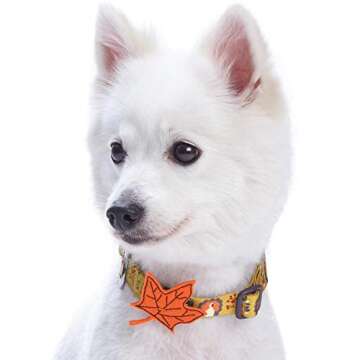 Blueberry Pet 8 Patterns Thanksgiving Fall Festival Moonlit Turkey Designer Adjustable Dog Collar with Maple, Large, Neck 18"-26"
