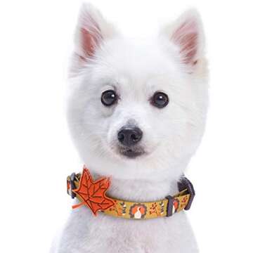 Blueberry Pet 8 Patterns Thanksgiving Fall Festival Moonlit Turkey Designer Adjustable Dog Collar with Maple, Large, Neck 18"-26"