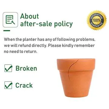 Winlyn Terracotta Pots - Perfect for Plants & Crafts