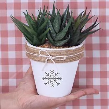 Winlyn Terracotta Pots - Perfect for Plants & Crafts