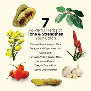 Dr. Schulze's | 5-Day Bowel Detox | Herbal Colon Cleanse | May Improve Digestion | Promotes Healthy Movements | Packaging May Vary