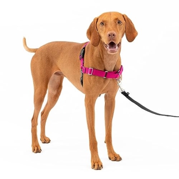 PetSafe Easy Walk No-Pull Harness for Comfortable Walks