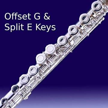 Cecilio Closed Hole C Flute for Beginners in Band and Orchestra