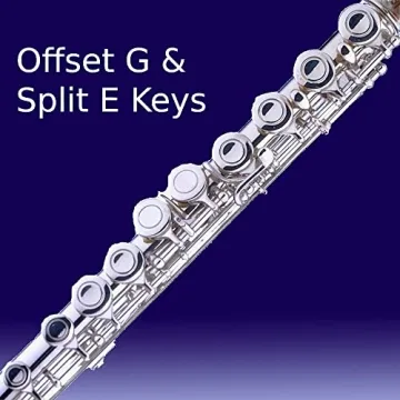 Cecilio Closed Hole C Flute for Beginners in Band and Orchestra