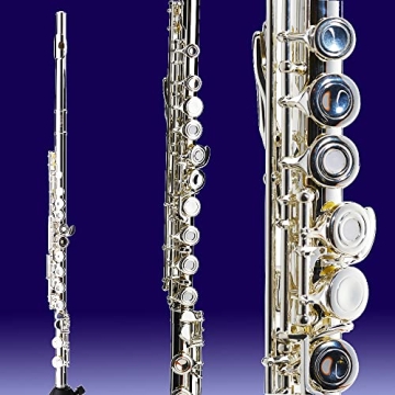 Cecilio Closed Hole C Flute for Beginners in Band and Orchestra