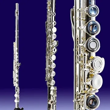 Cecilio Closed Hole C Flute for Beginners in Band and Orchestra